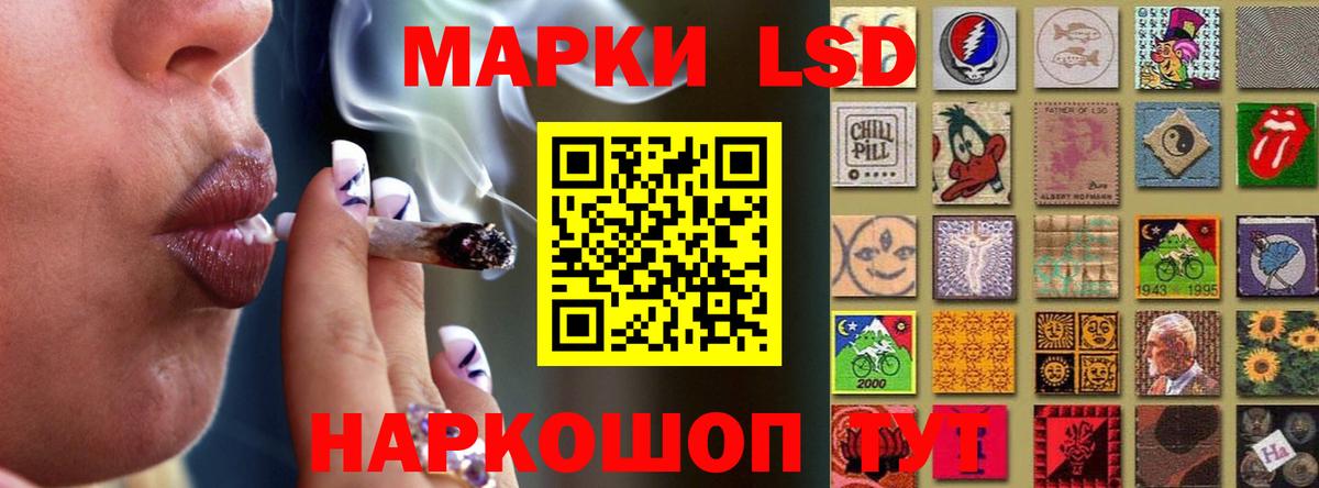 Бердск  omg ссылка  Лсд 25 экстази кислота  Вход с VPN  Лсд 25 экстази кислота 