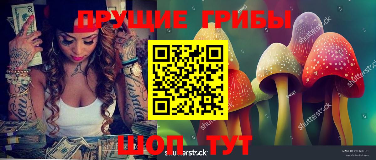 Бердск  Галлюциногенные грибы Psilocybine cubensis  закладки  Вход с VPN 